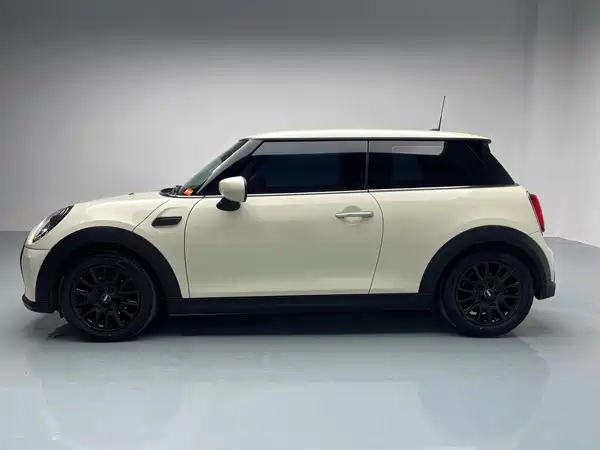 MINI MINI 2022