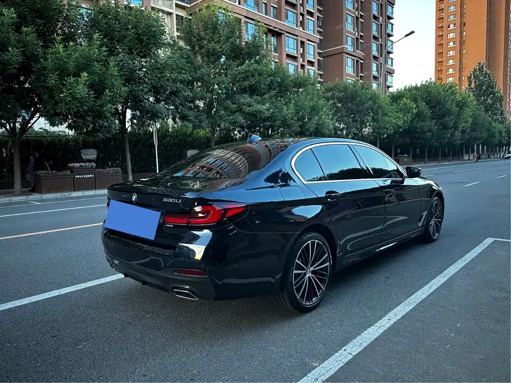 BMW 5 Series 2021