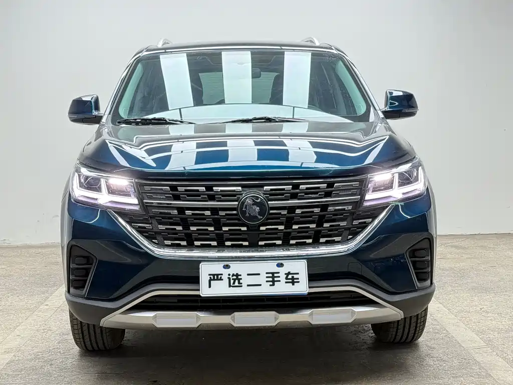 Fengxing T5 2021