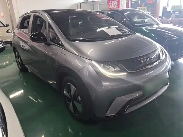 BYD Dolphin 2024