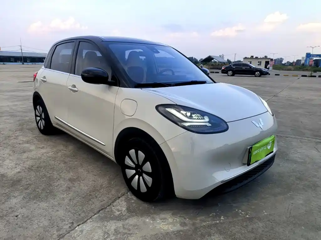 Wuling Bingo 2024