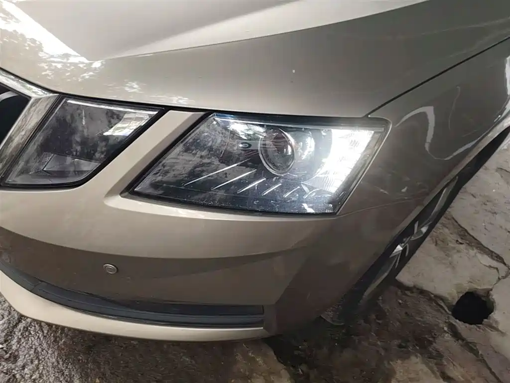 Skoda Octavia 2019 — фото 24