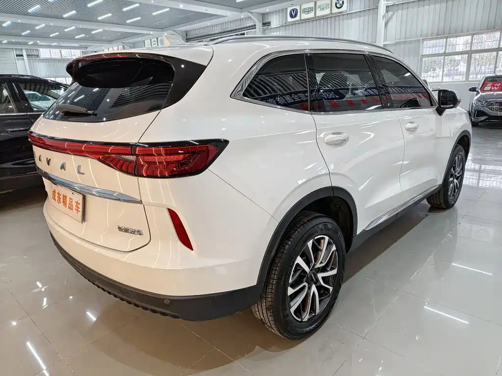 Haval H6 2022 — фото 6