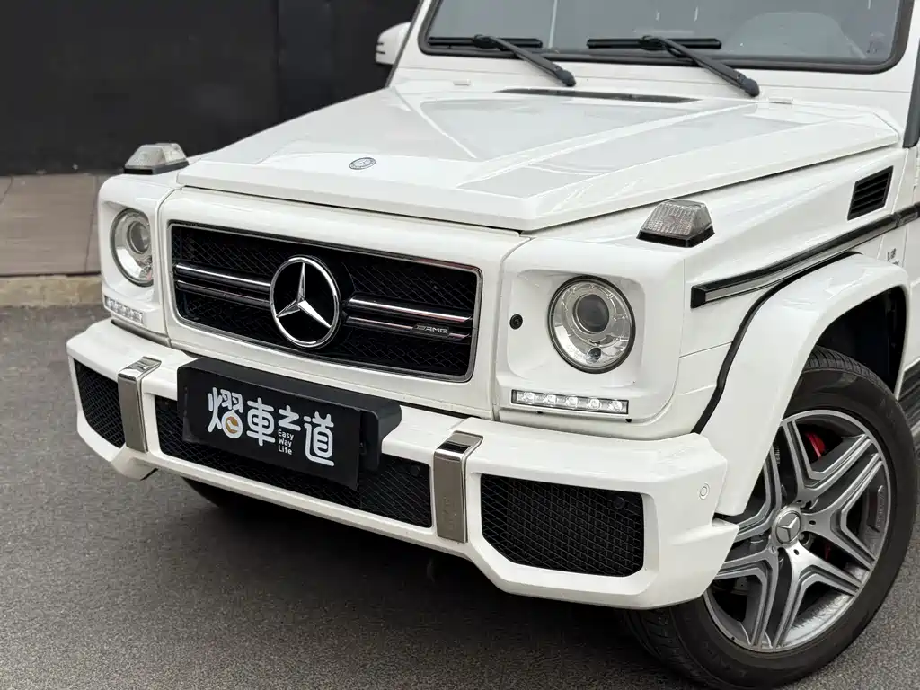 Mercedes-Benz G-Class AMG 2015 — фото 13