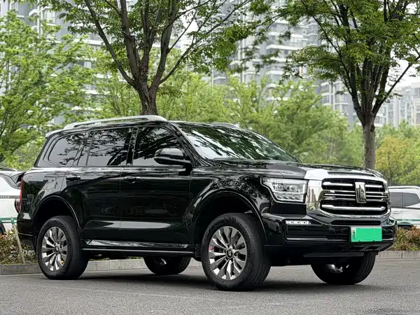 Tank 500 New Energy 2024