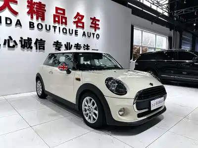 MINI MINI 2018