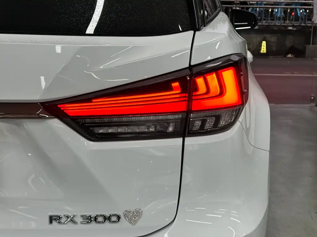 Lexus RX 2020 — фото 13