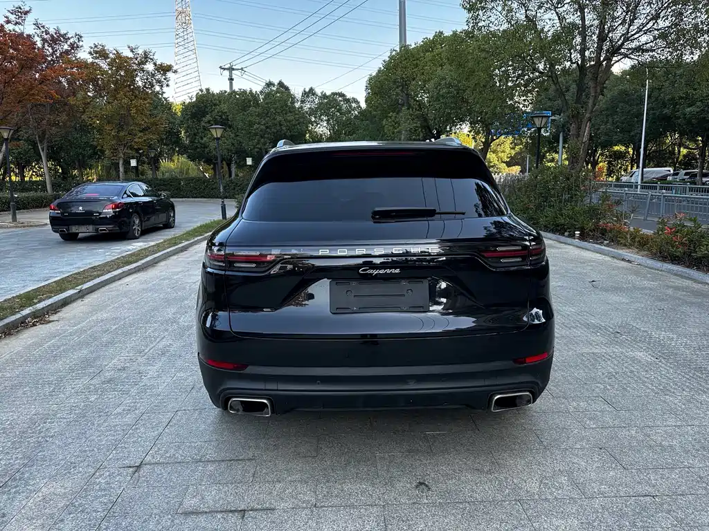 Porsche Cayenne 2019 — фото 10