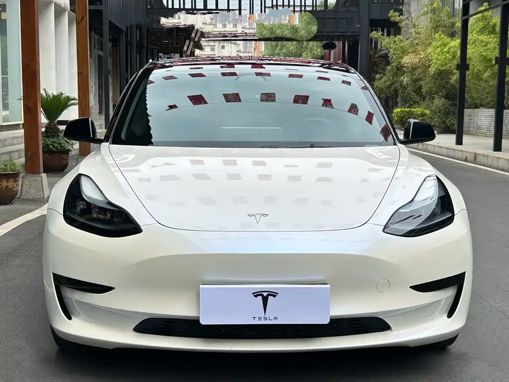 Tesla Model 3 2023 — фото 2