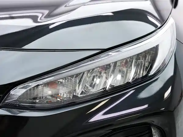 Toyota Weilanda New Energy 2021
