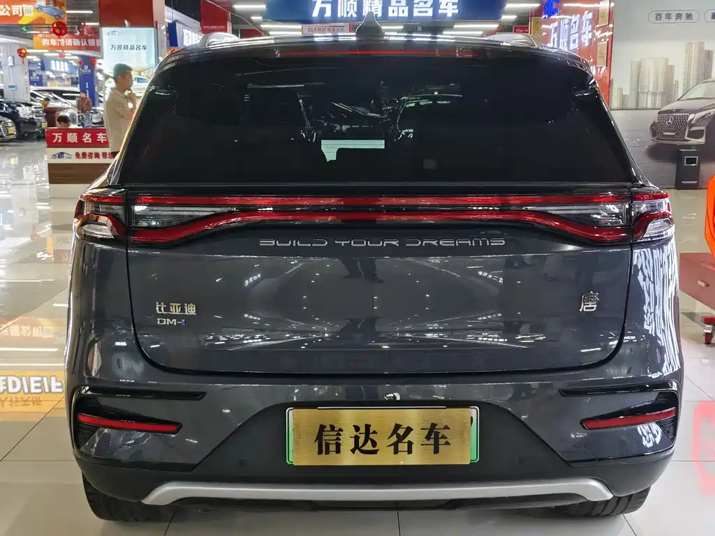 BYD Tang New Energy 2024 — фото 17