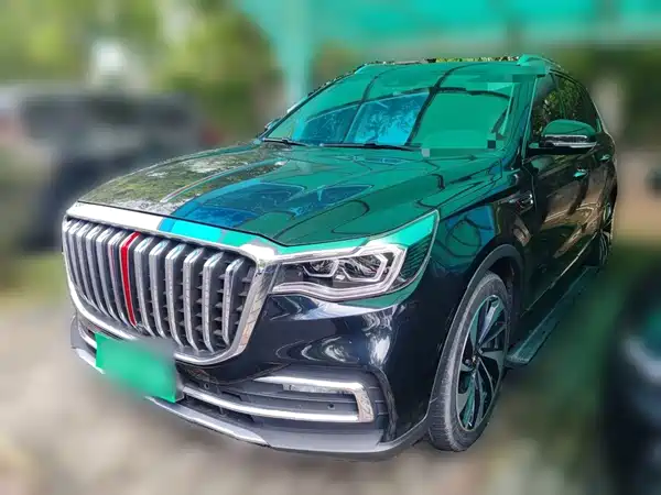 Hongqi HS7 2020