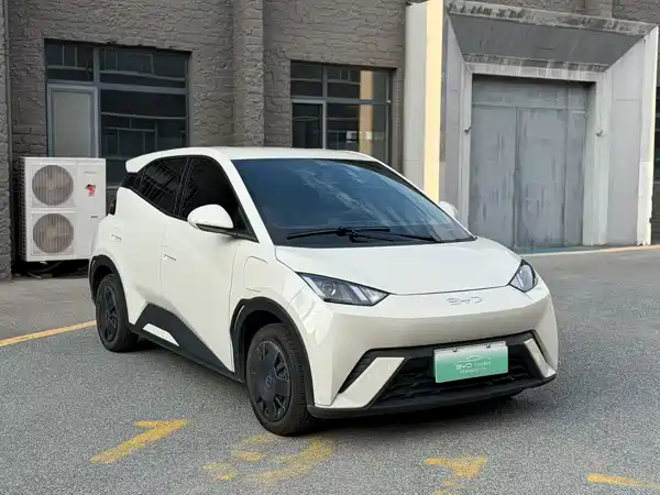 BYD Seagull 2024
