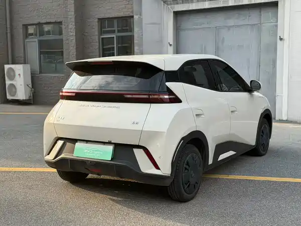 BYD Seagull 2024