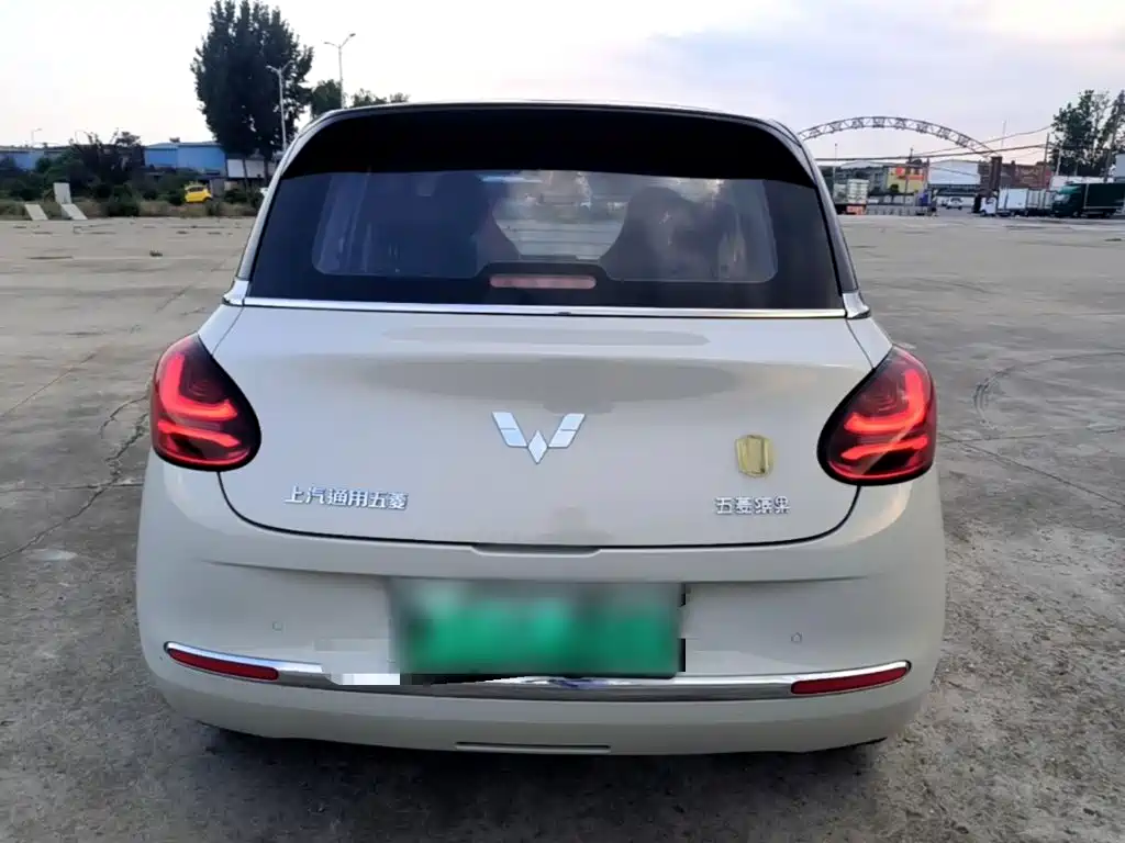 Wuling Bingo 2024