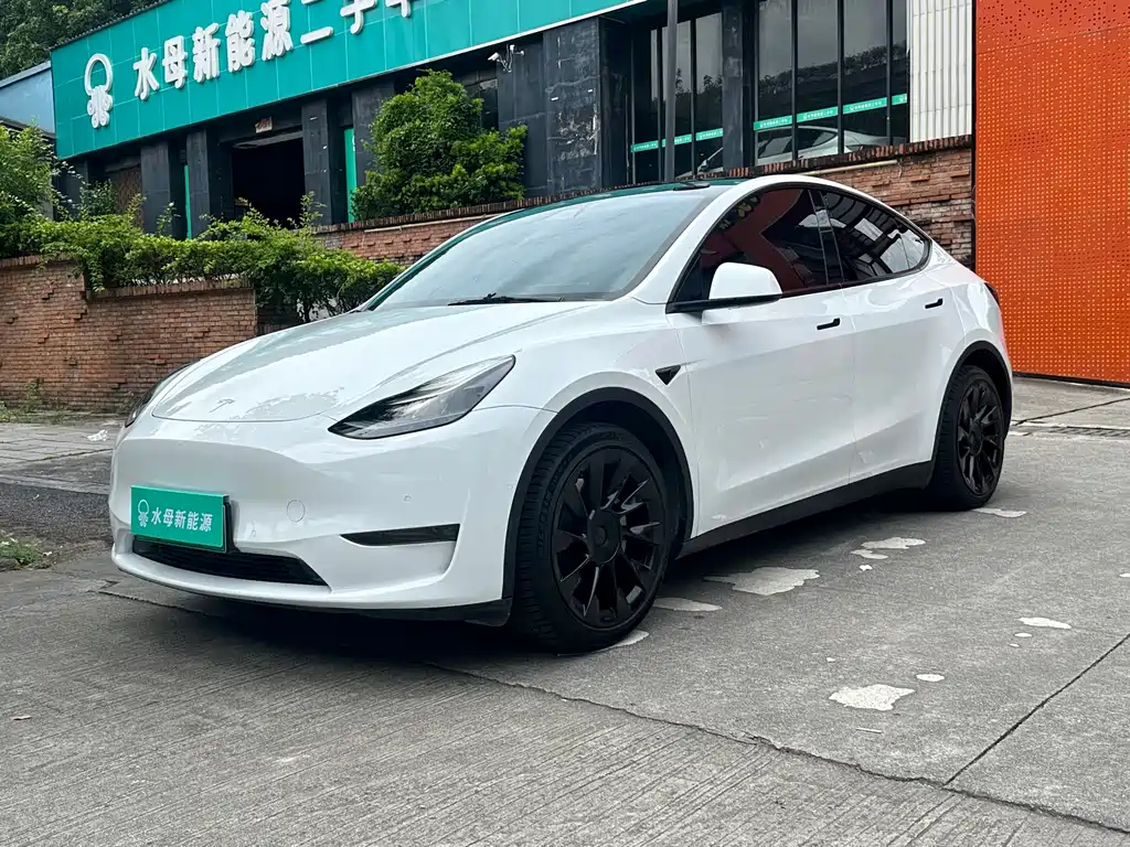 Tesla Model Y 2021 — фото 1
