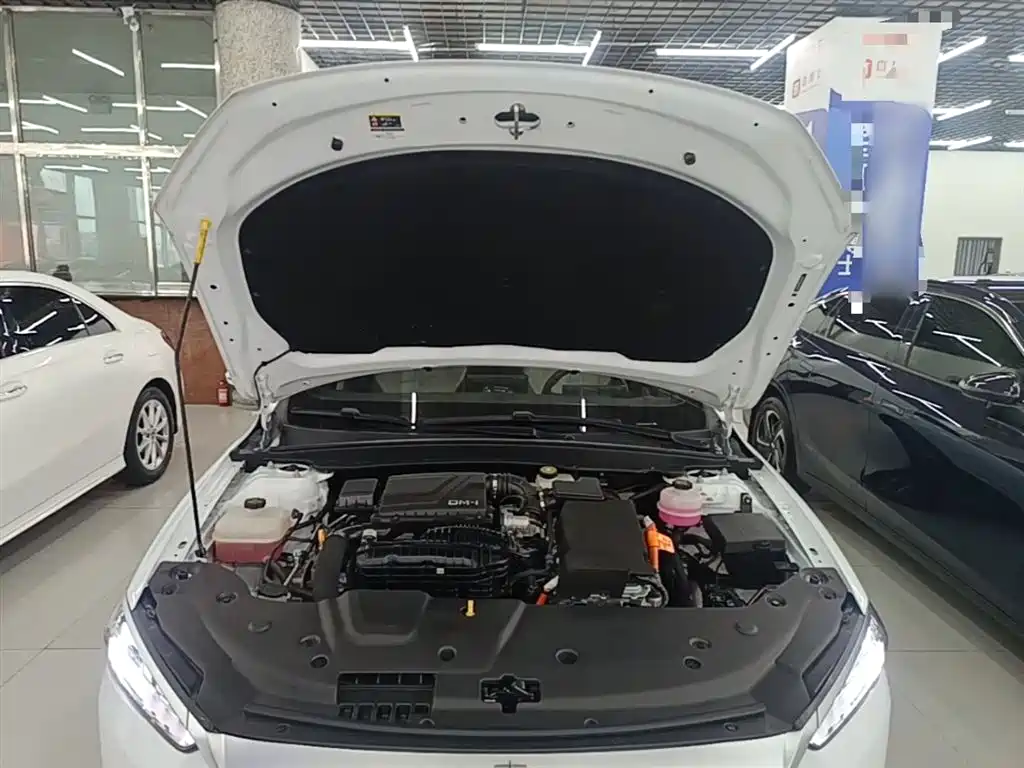BYD Qin PLUS 2024 — фото 20