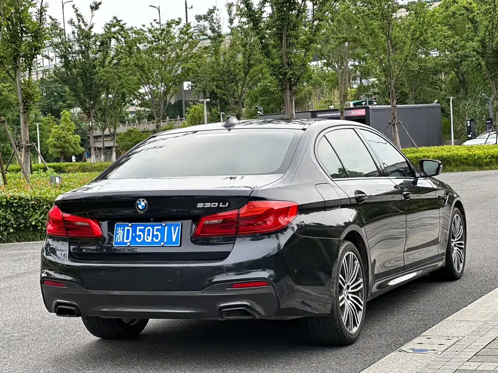 BMW 5 Series 2019 — фото 6
