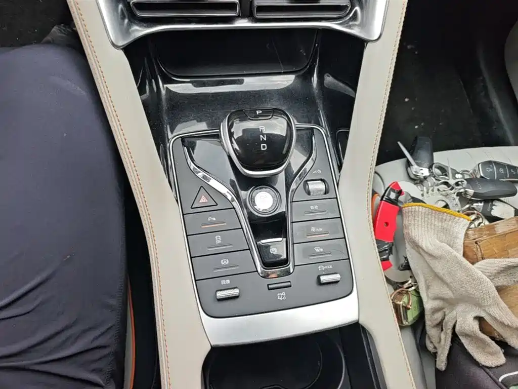 BYD PLUS New Energy 2022 — фото 14