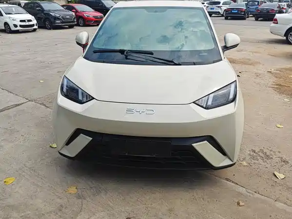 BYD Seagull 2025