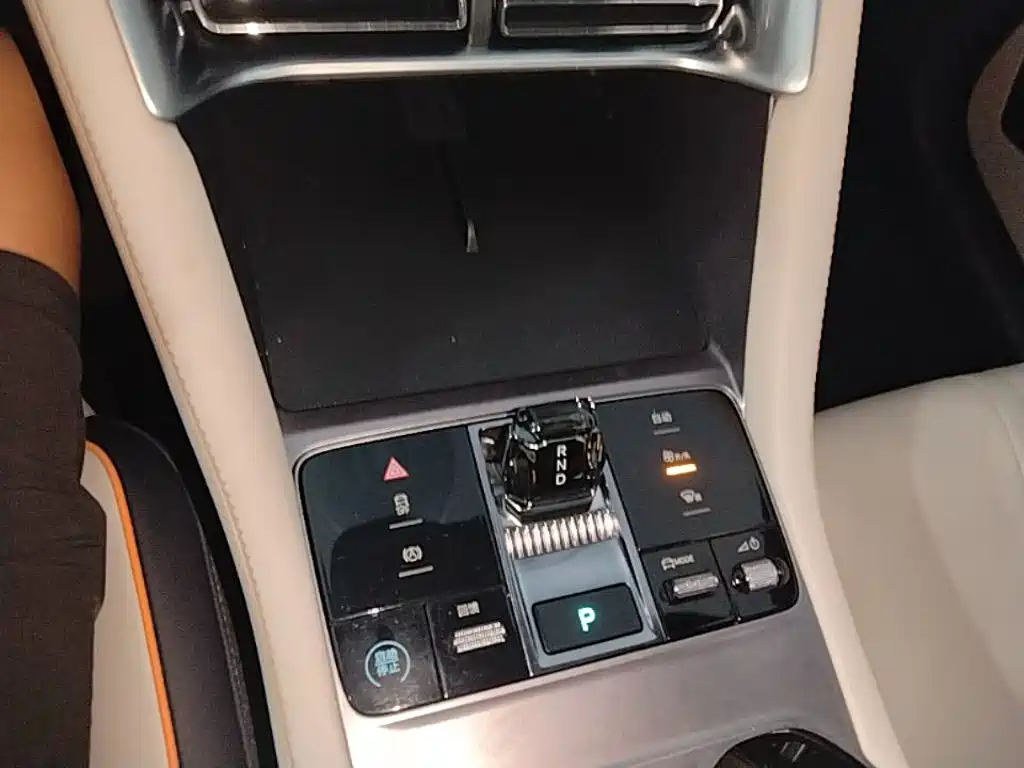 BYD Song PLUS New Energy 2024 — фото 14