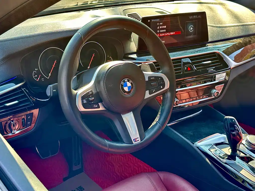 BMW 5 Series 2019 — фото 12
