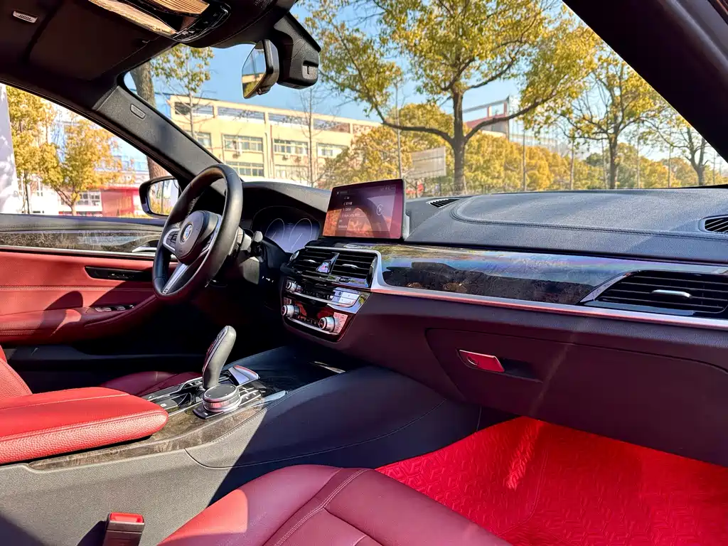 BMW 5 Series 2019 — фото 10