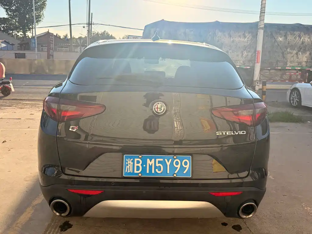 Alfa Romeo Stelvio 2019 — фото 8