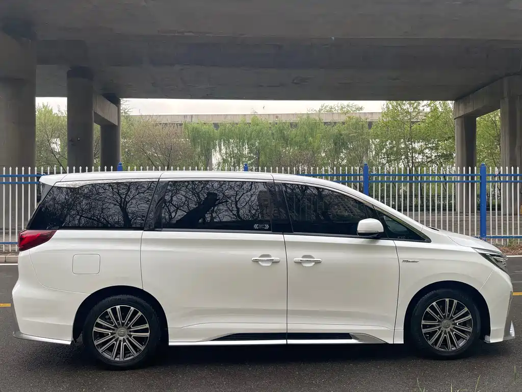 GAC Motor Trumpchi M8 2021 — фото 8