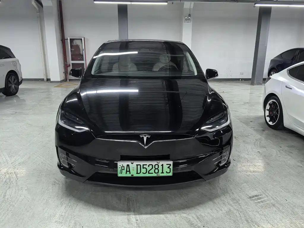 Tesla Model X 2019 — фото 2