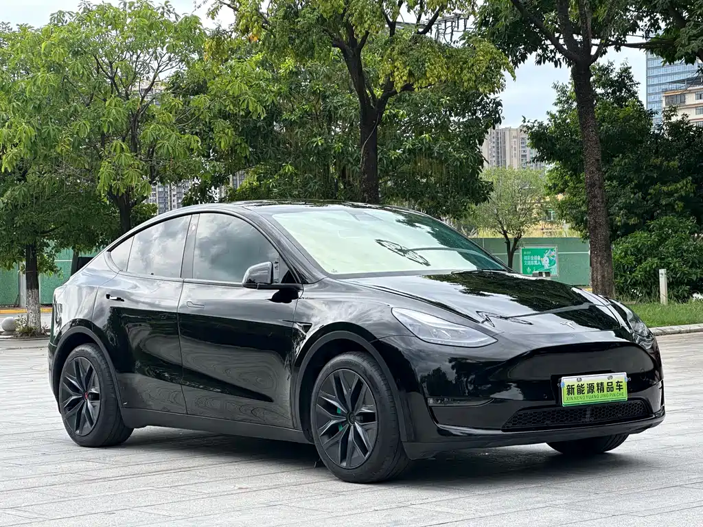 Tesla Model Y 2021 — фото 3