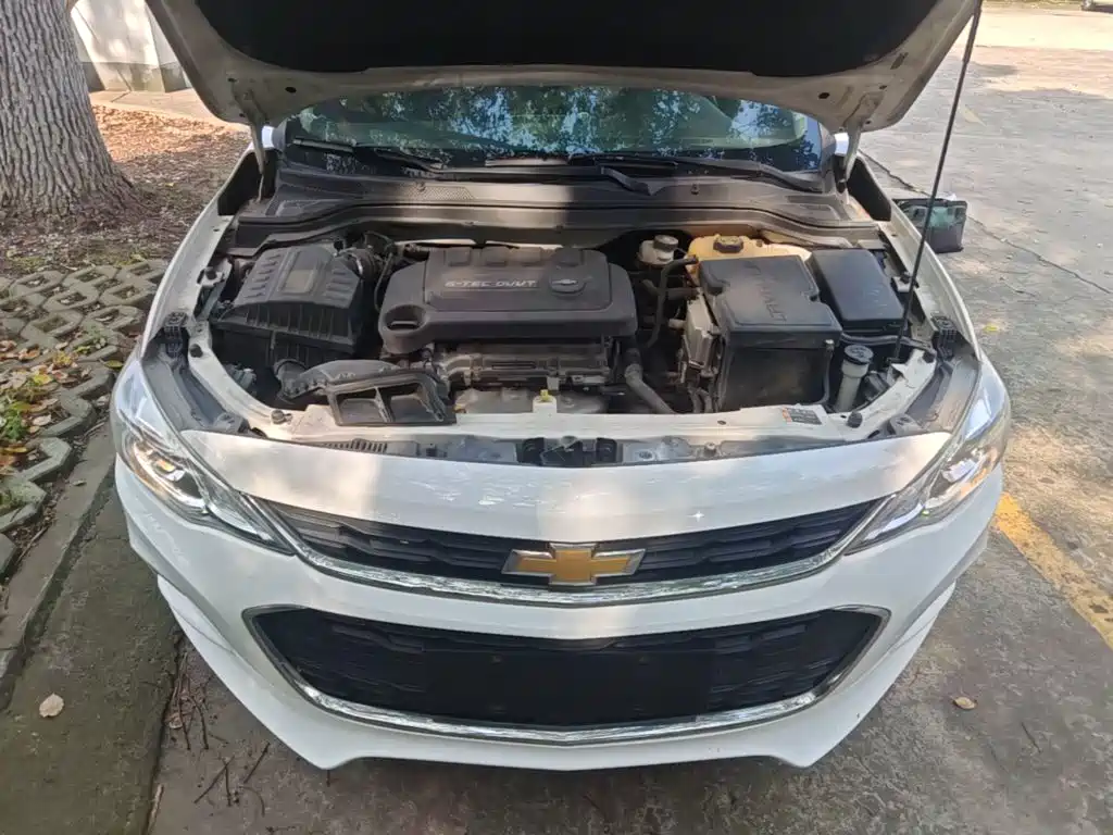 Chevrolet Cavalier 2017 — фото 20
