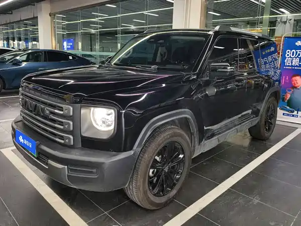 Haval Raptors New Energy 2024