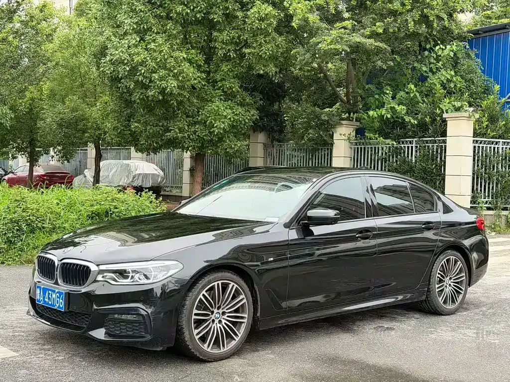 BMW 5 Series 2019