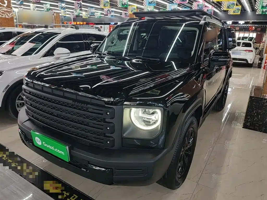 Haval Menglong New Energy 2024