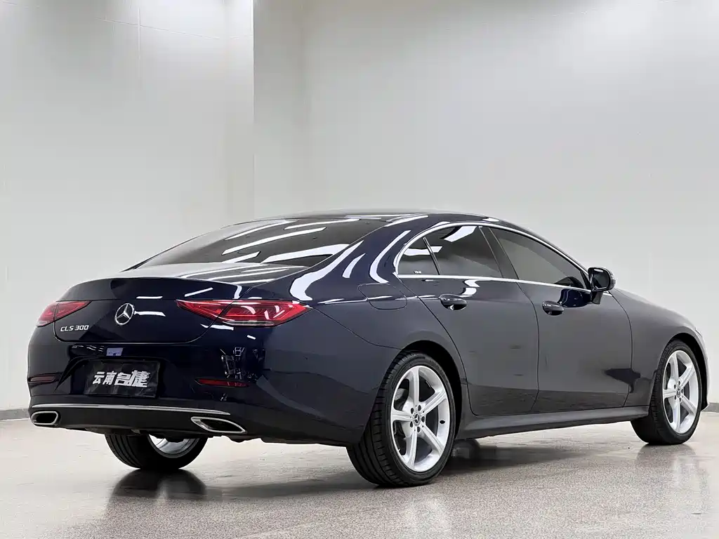 Mercedes-Benz CLS 2019 — фото 7