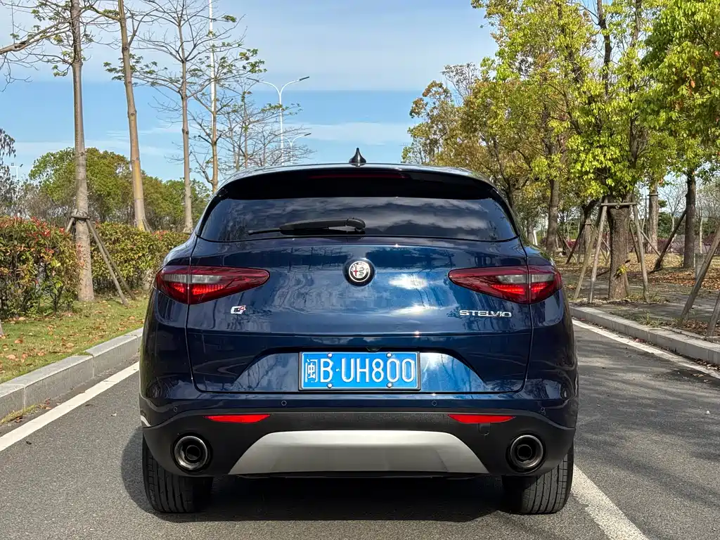 Alfa Romeo Stelvio 2017 — фото 8