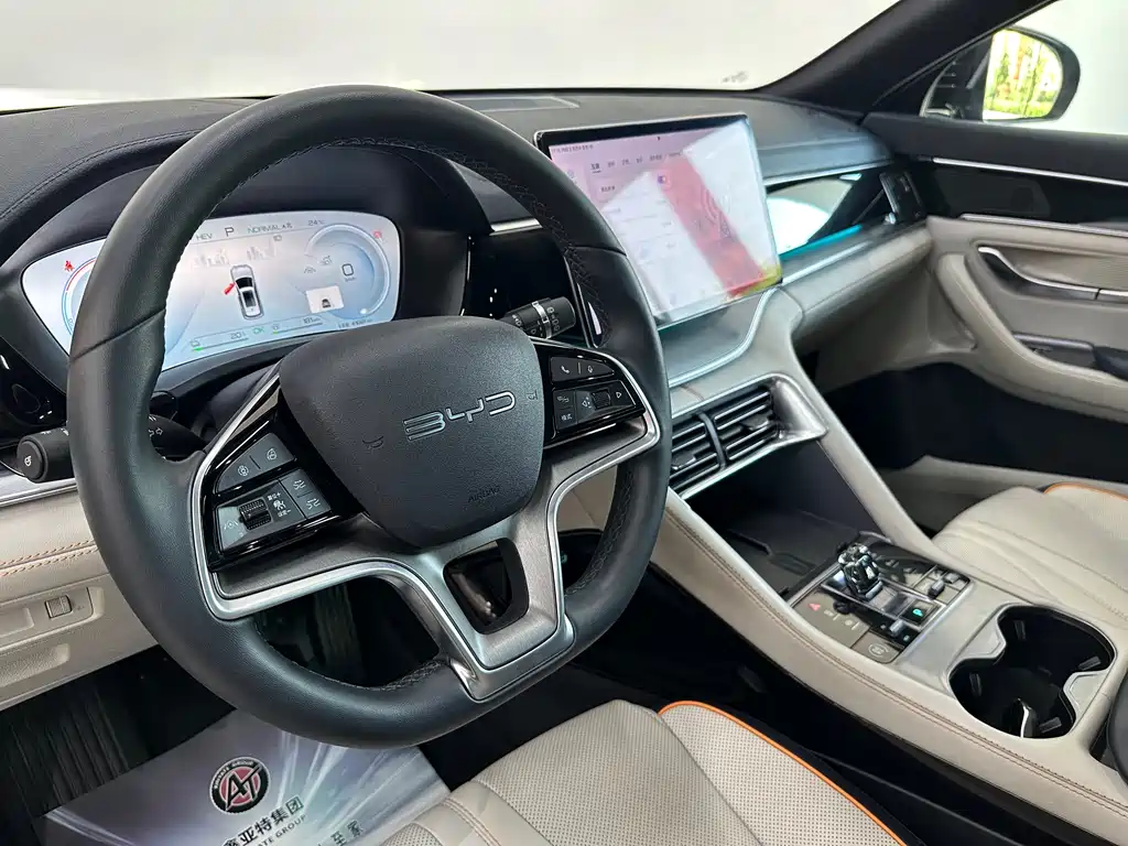 BYD PLUS New Energy 2024 — фото 14