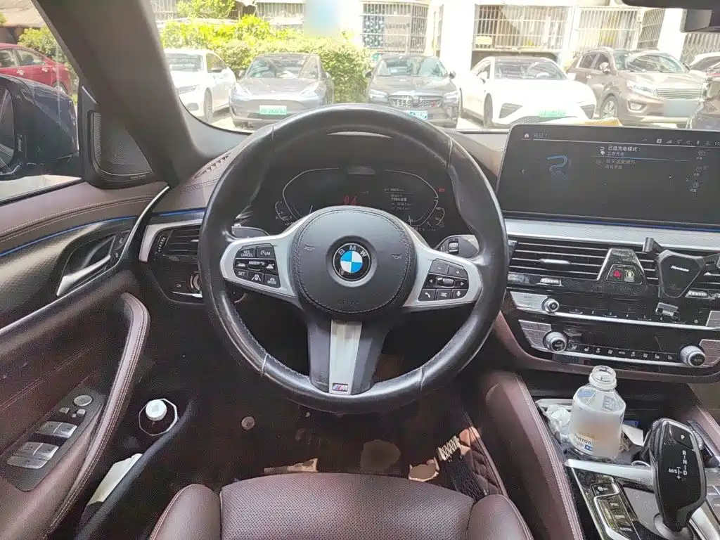 BMW 5 Series New Energy 2021