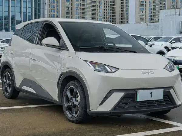 BYD Seagull 2024