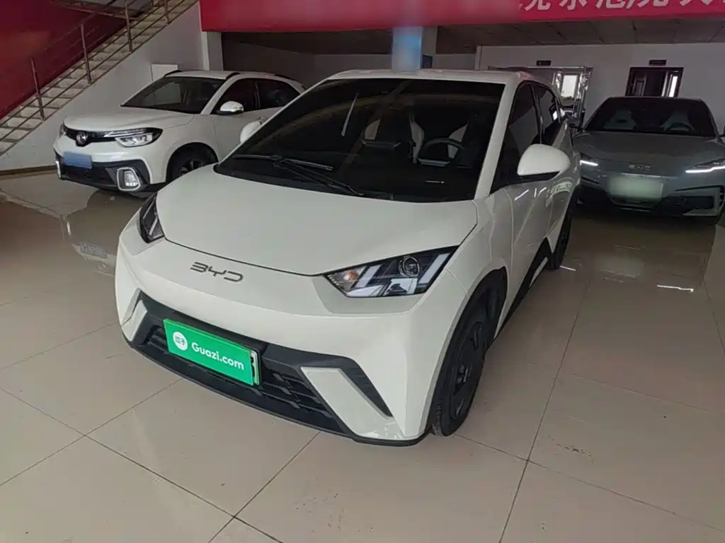 BYD Seagull 2024