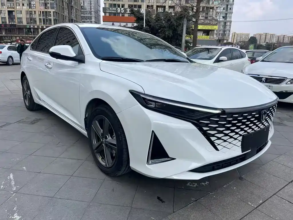 Changan Ruicheng PLUS 2023 — фото 2
