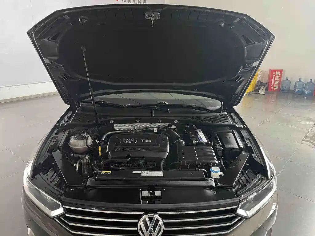 Volkswagen Viloran 2019 — фото 12