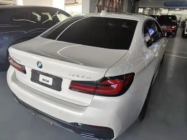 BMW 5 Series New Energy 2021