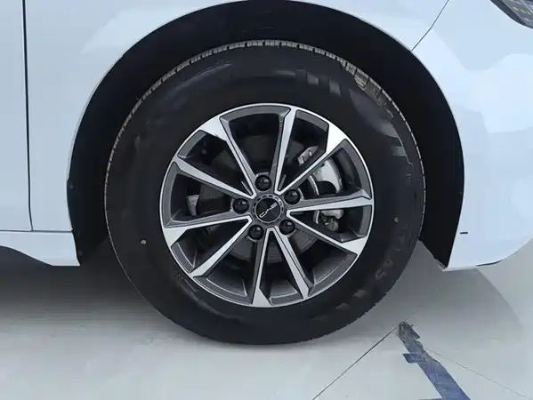 BYD Destroyer 05 2024