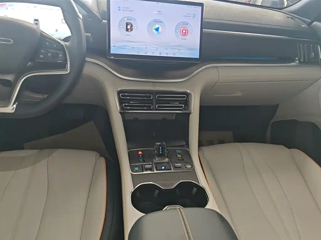 BYD PLUS New Energy 2024 — фото 14