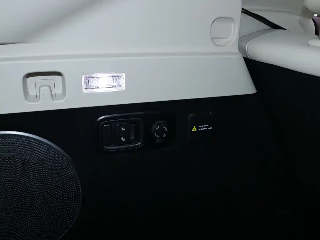 Voyah Zhiyin 2025 — фото 21