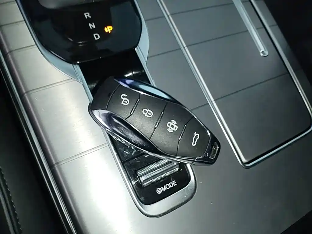 Hongqi HS7 PHEV 2025 — фото 15