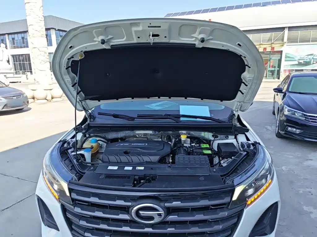 GAC Trumpchi GS4 2020 — фото 20