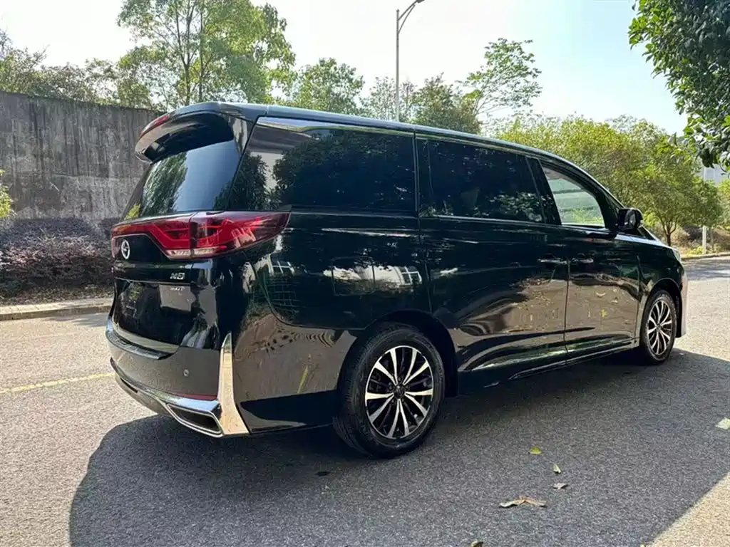 GAC Motor Trumpchi M8 2021 — фото 7
